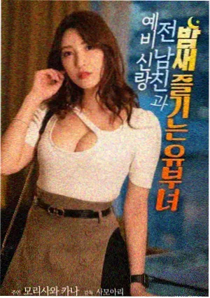 猫咪从圆到耳朵配图